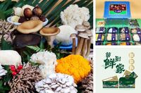 十二菌鮮 珍品鮮菌精裝禮盒 經(jīng)典款