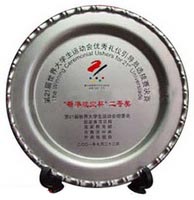 獎(jiǎng)牌